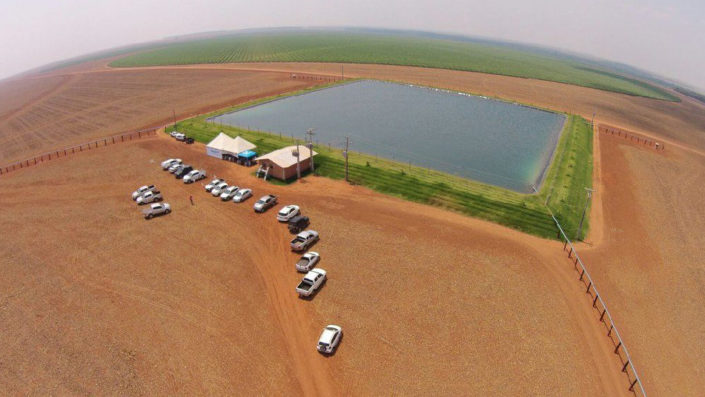 Dia de Campo- Campo Novo do Parecis-MT